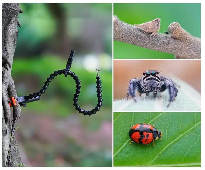 Pince Macro Double Magic Arm Guage avec Bras Flexible de 60 cm pour Photographie Macro, Insectes, Fleurs – Outil de Fixation pour Macroshot