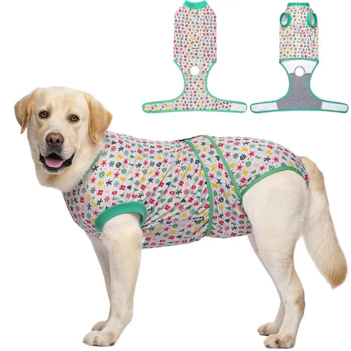 Combinaison de récupération pour chien après chirurgie chemise postopératoire pour animaux de compagnie protection des