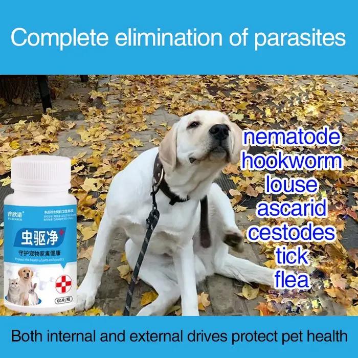 Variété de Parasites pour Animaux de Compagnie