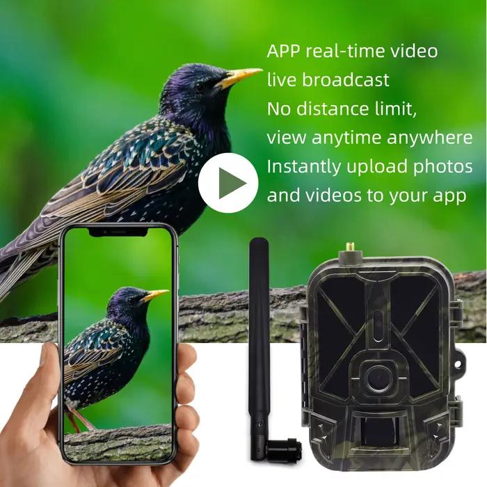 Caméra de chasse 4K 36MP avec contrôle 4G