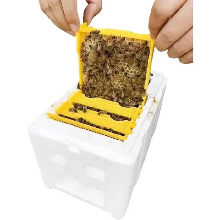 Matériel d'apiculture : Boîte d'élevage de reines, Ruches de reproduction pour abeilles, Équipement complet de ruches Fomão, Kits complets de ruches