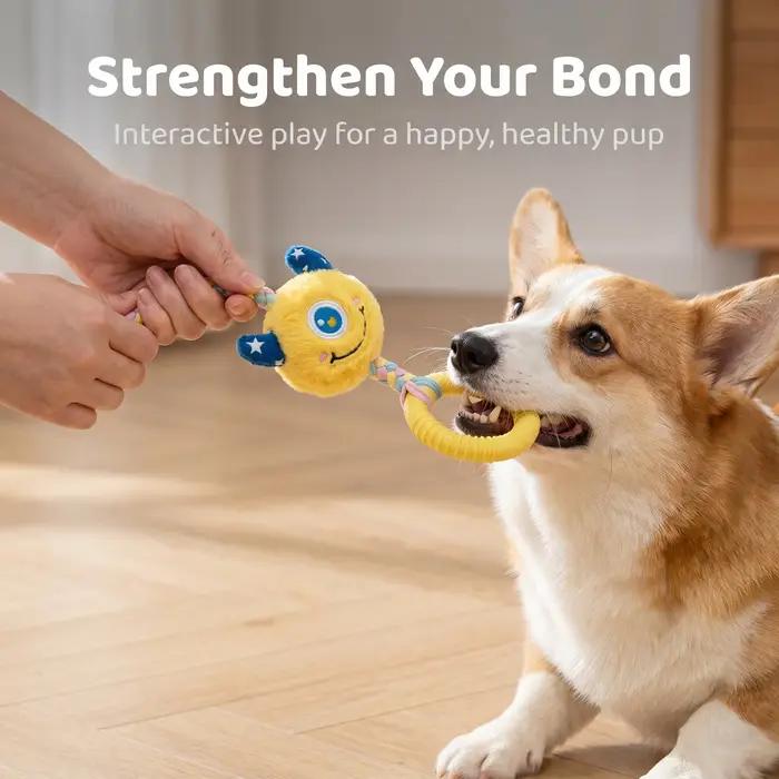 Jouets pour chiens : Anneau interactif en caoutchouc TPR résistant aux morsures pour petits et moyens