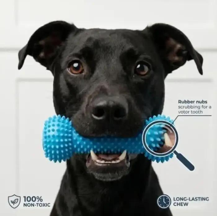 Jouet dentaire pour chien de taille moyenne brun foncé double action brossage des dents facile et jeu amusant occaions spéciales santé bucco-dentaire chiens