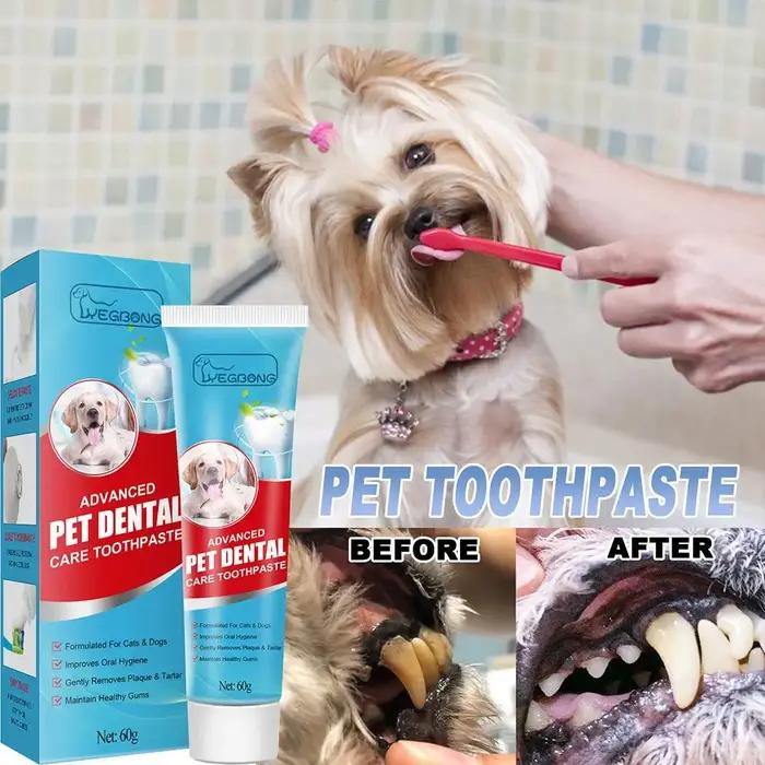 Dentifrice Comestible pour Chats et Chiens 60g – Hygiène Buccale Avancée, Élimine la Plaque et le Ta