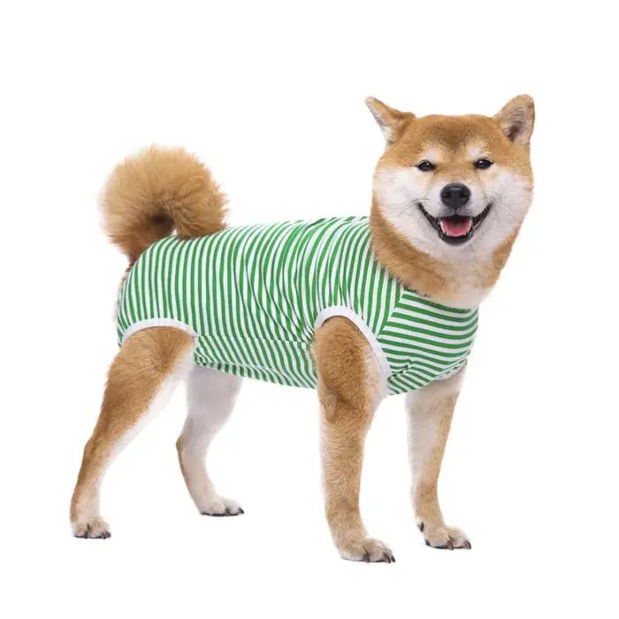 Combinaison de récupération pour chien pour après chirurgie
