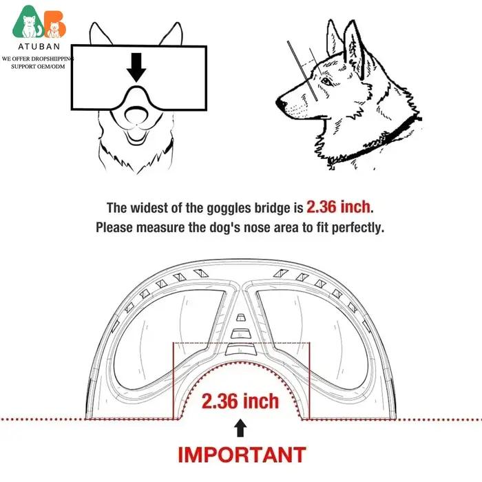 Lunettes de soleil transparentes anti-UV pour chiens de grande race