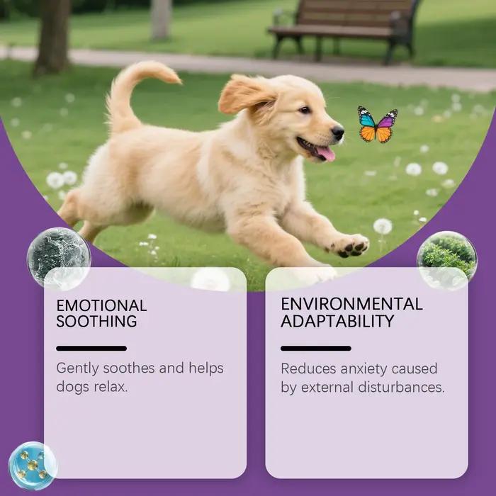 Spray apaisant et de soin émotionnel pour chien – EaseSeparationAnxiété