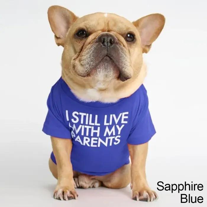 Vêtements d'été et de printemps pour chiens, vêtements respirants de qualité pour animaux de compagn