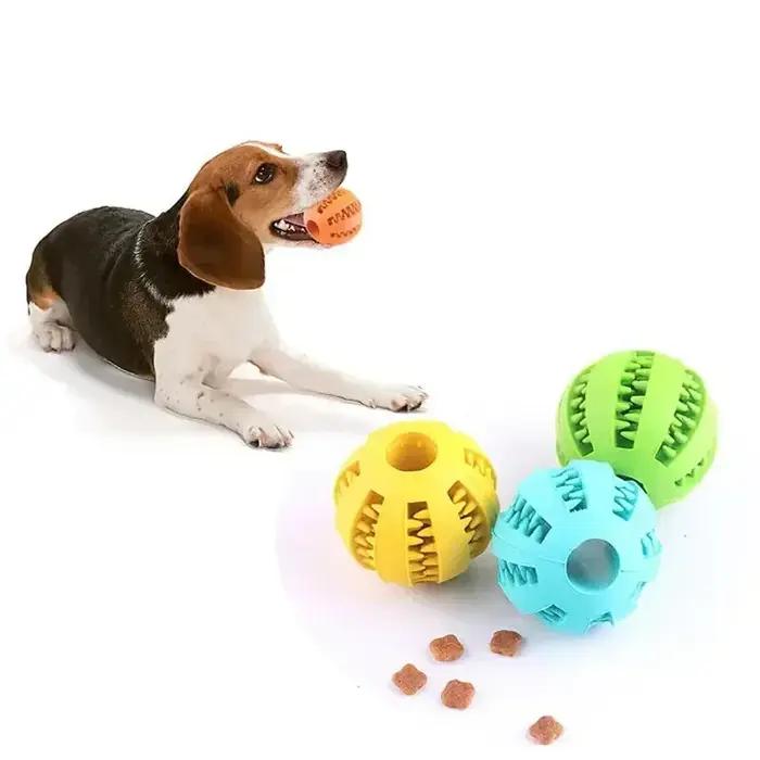 Jouets pour chiens en caoutchouc naturel