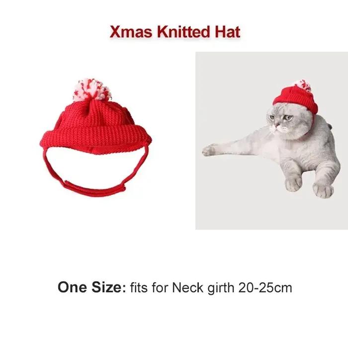 Costume drôle de père Noël pour chiens et chats