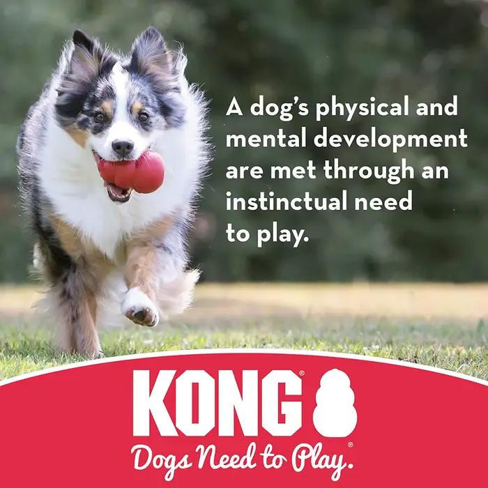 KONG TDPToy pour chien, jouet pour chien