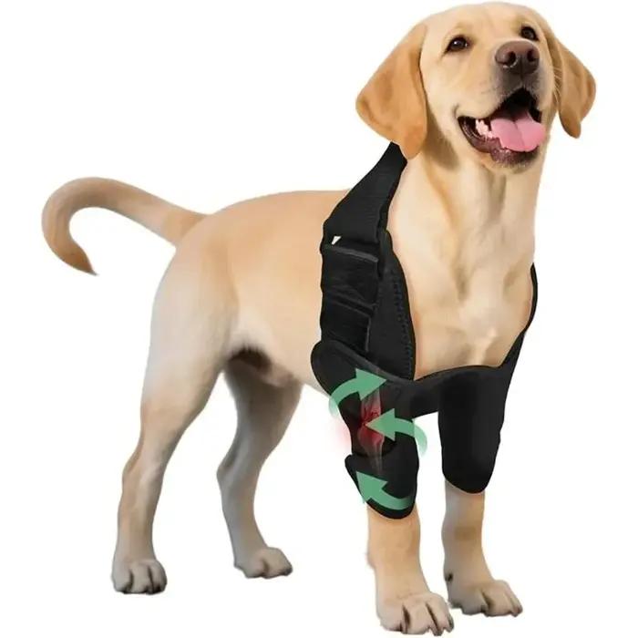 Attelle de protection complète pour coude de chien
