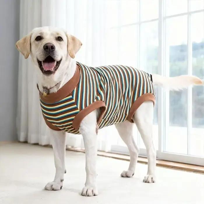 Combinaison pour chien