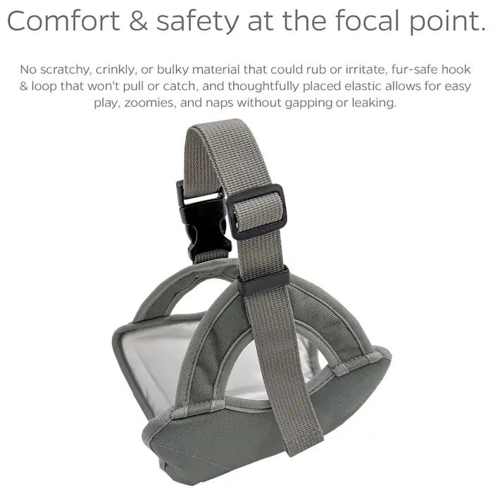 Nouveau pantalon physiologique pour chien mâle, idéal pour les promenades en extérieur, anti-harassement, prévention de la grossesse, pantalon sanitaire pour animaux de compagnie