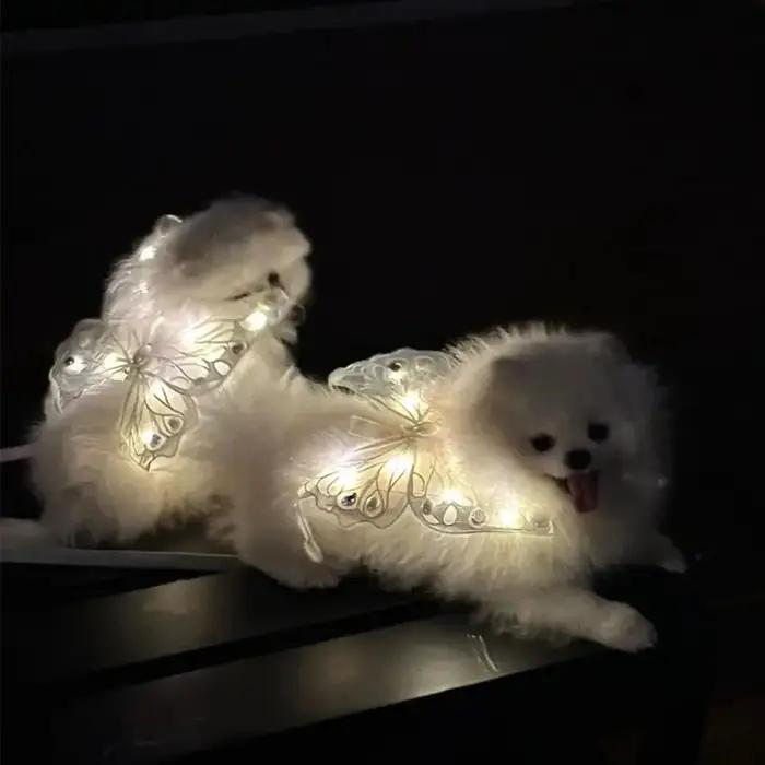 Nouvelles ailes de chien lumineuses et mignonnes en forme de papillon pour petits et moyens animaux de compagnie