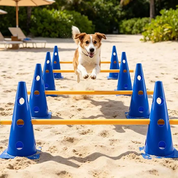 Ensemble d'agilité pour chien pour jardin