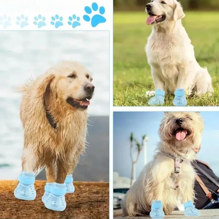 Nouvelles chaussures pour chien les plus vendues