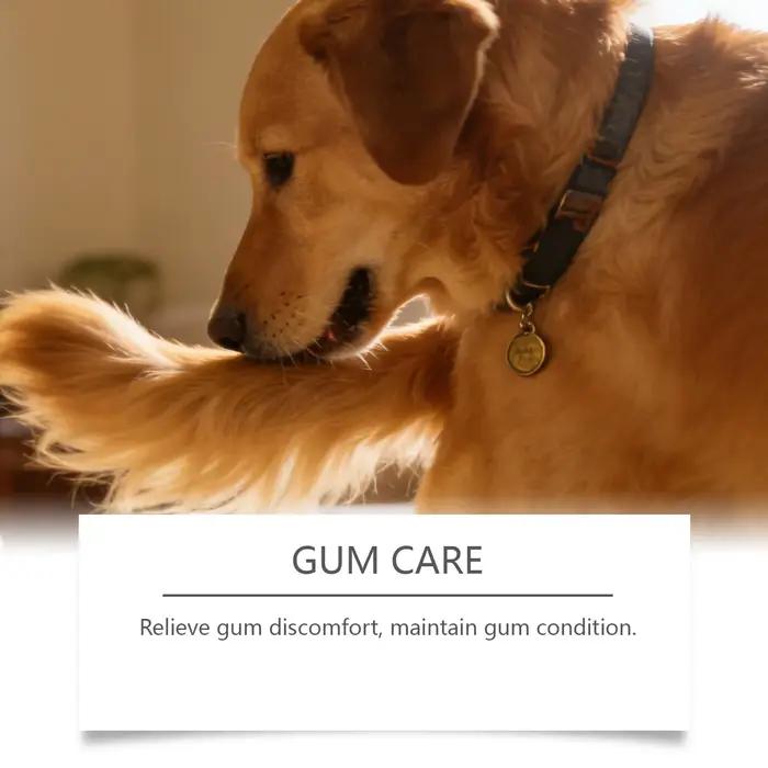 Spray buccal pour animaux de compagnie pour soulager la mauvaise haleine et nettoyer les dents des chiens