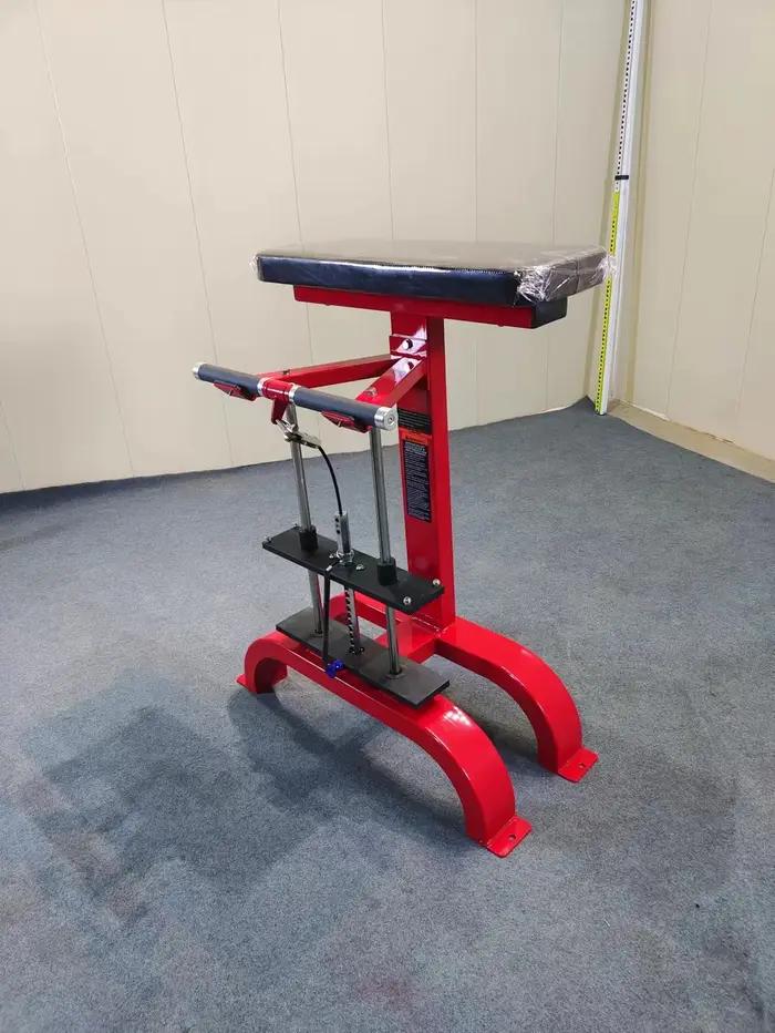 Entraîneur professionnel d'exercice musculaire de bras