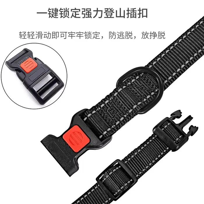 Collier de chien en fonte réglable