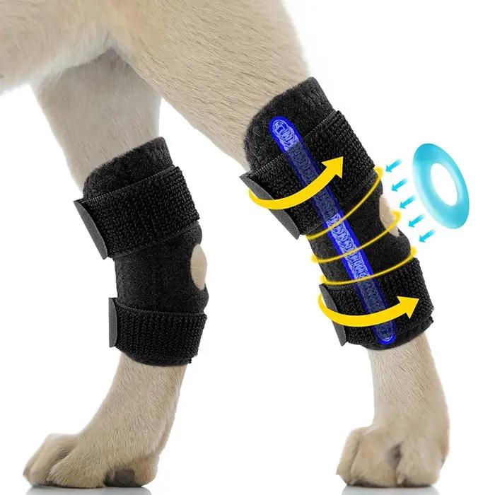 Genouillères de protection pour animaux de compagnie