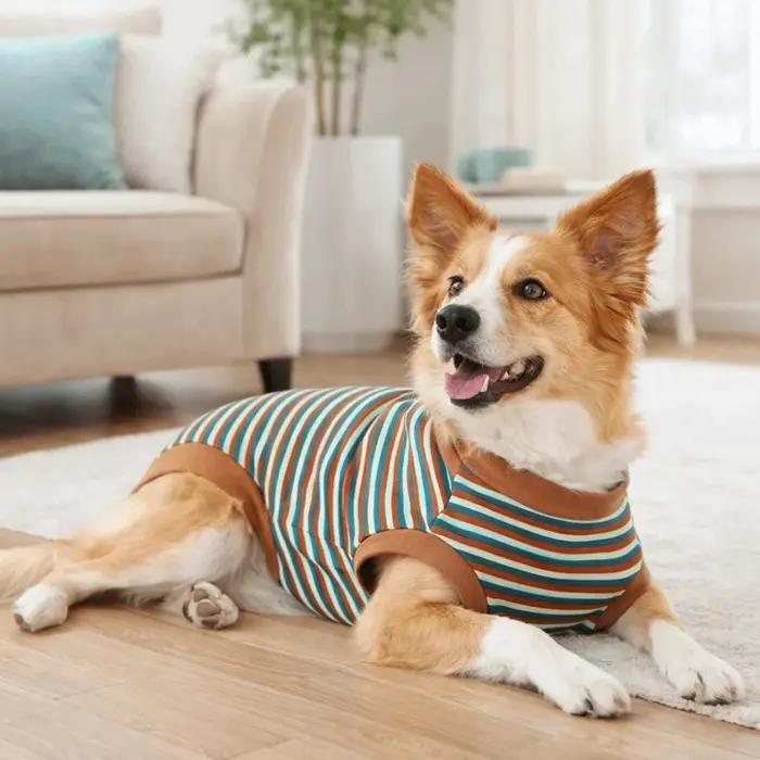 Combinaison pour chien