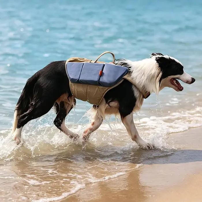Gilet de sauvetage pour chien avec bandes réfléchissantes