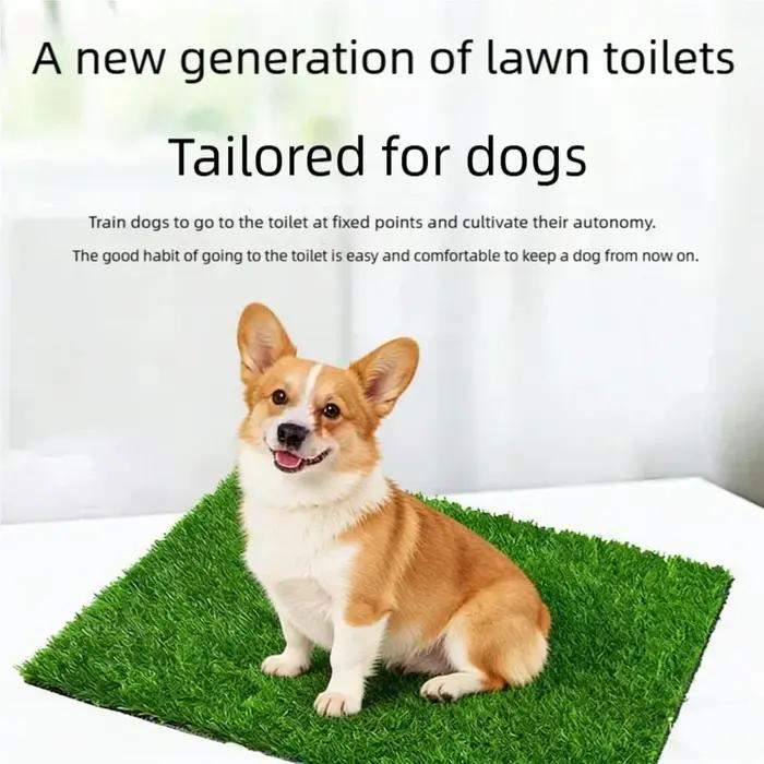 Tapis d'herbe artificielle pour chien lavable ultime