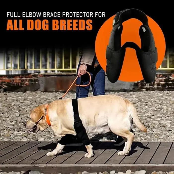 Attelle de protection complète pour coude de chien