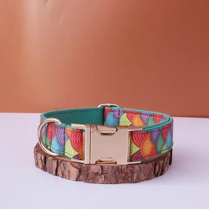 Collier de chien personnalisé