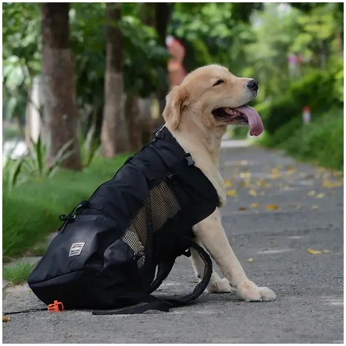 Sac à dos de voyage pour chien