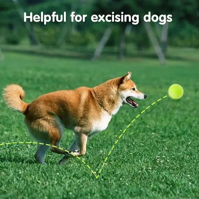 Balles de tennis pour chiens