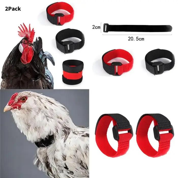 Collier de coq anti-bruit jetable