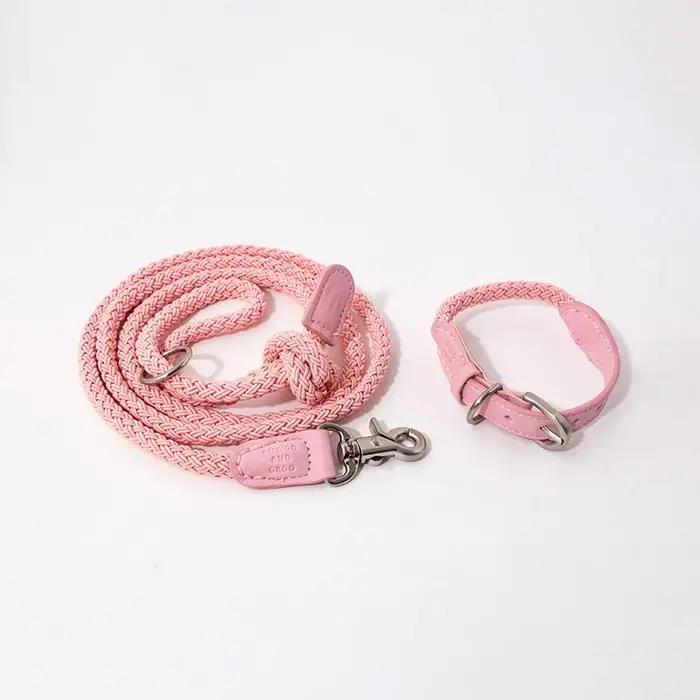 Ensemble collier et laisse pour chien tressé en cuir, pour Bichon Frise et petits animaux de compagn