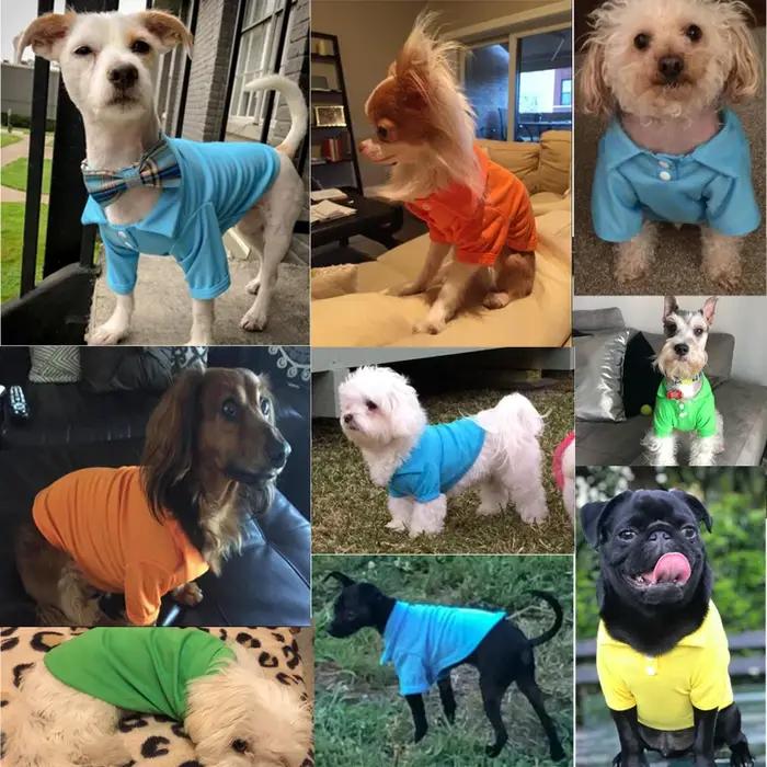 T-shirt à col polo respirant pour animaux de compagnie