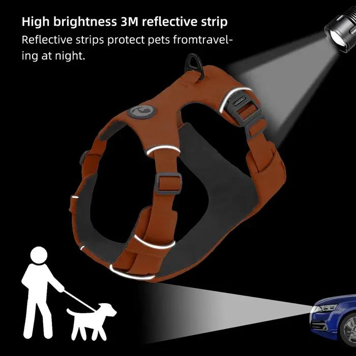 Harnais de sécurité sans traction pour chien de compagnie