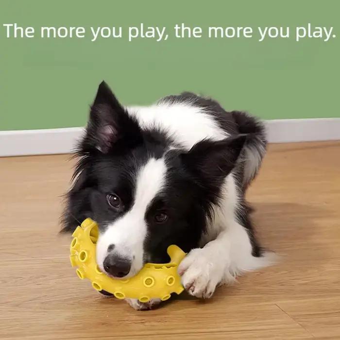 Jouet à mâcher résistant aux morsures pour chiens de petite et moyenne taille, favorisant la santé bucco-dentaire, jouets robustes et durables, idéal pour le jeu quotidien et les occasions spéciales