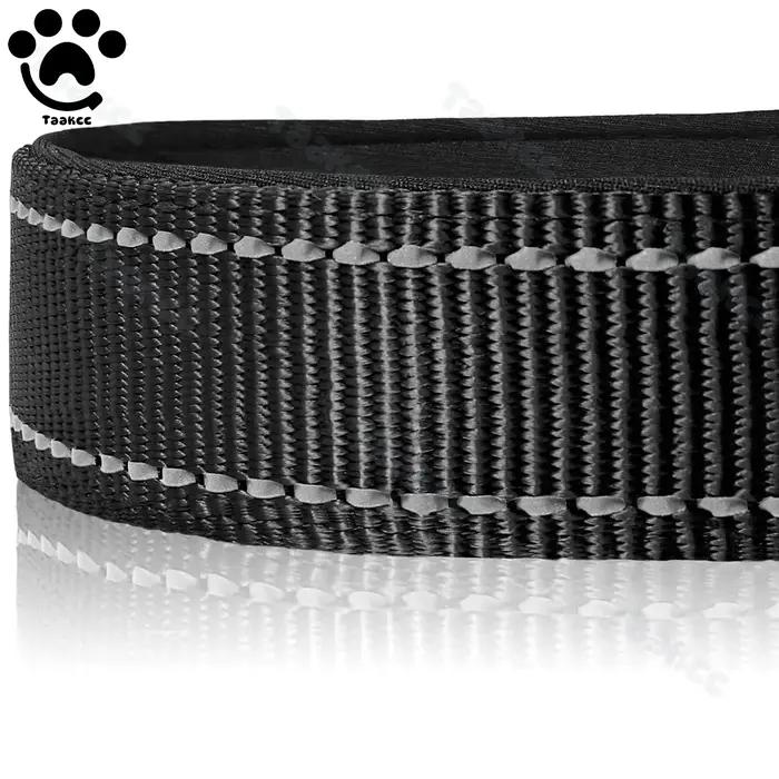 Collier pour chien personnalisé avec plaque nominative