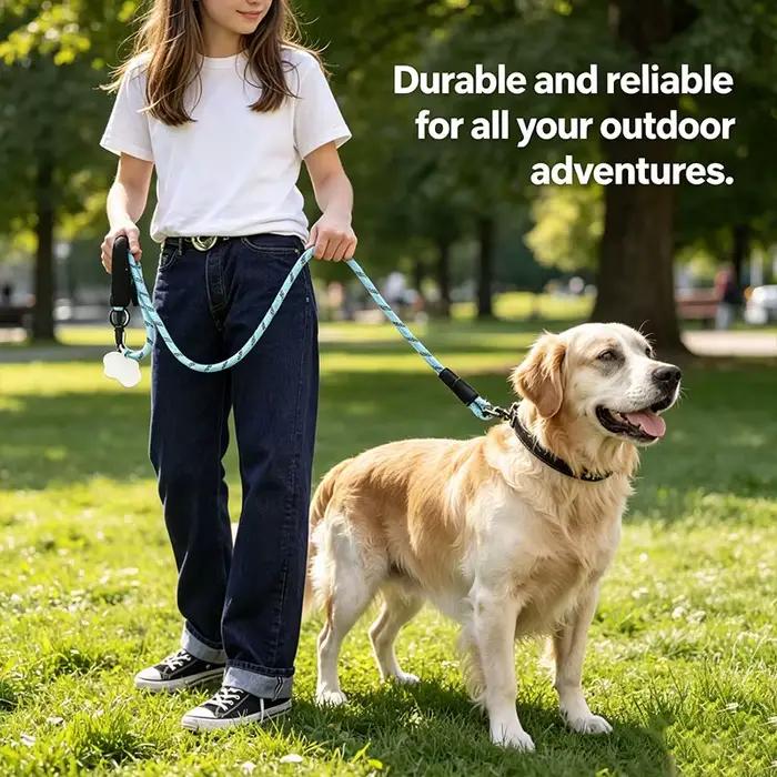 Laisse pour chien de 1