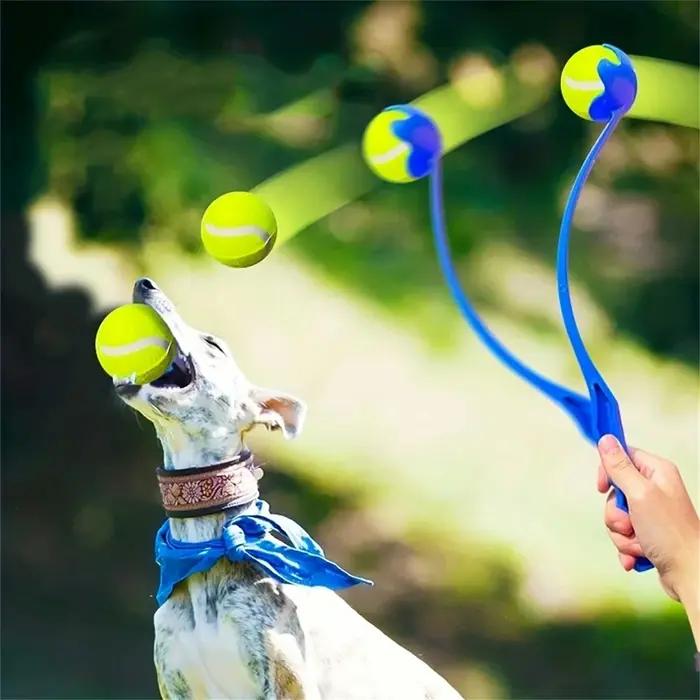 Ensemble de lanceur de balle de Tennis pour animaux de compagnie