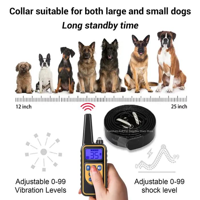 Collier de dressage électrique pour chien, étanche, pour animaux de compagnie, avec télécommande, dispositif Anti-aboiement Rechargeable, toutes tailles
