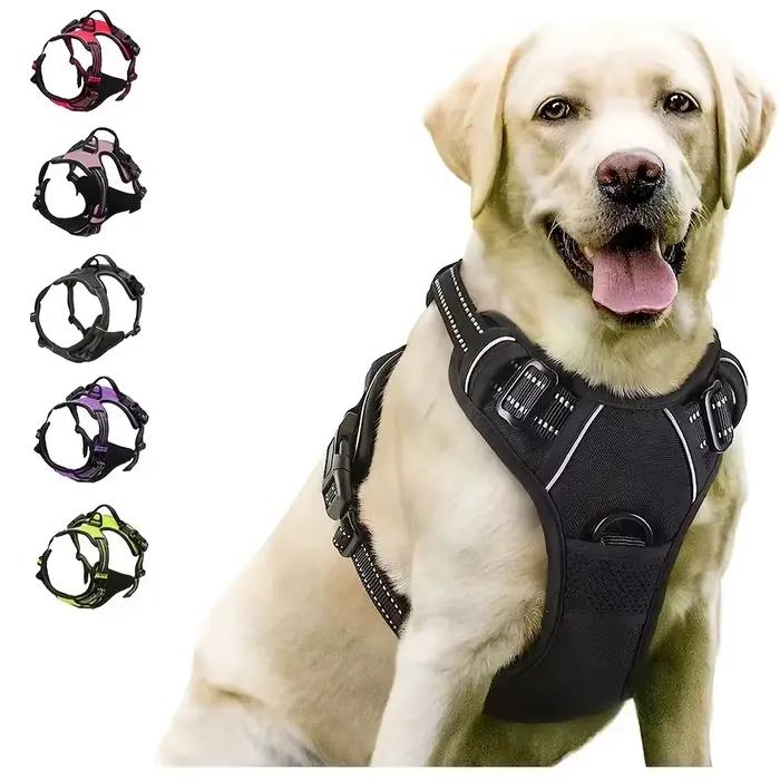 Clip avant de harnais sans traction para cão grande, robuste, réfléchissant, easy control, alça, andando