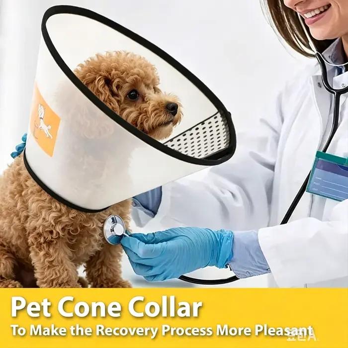 Collier de protection anti-morsure pour chiens et chats