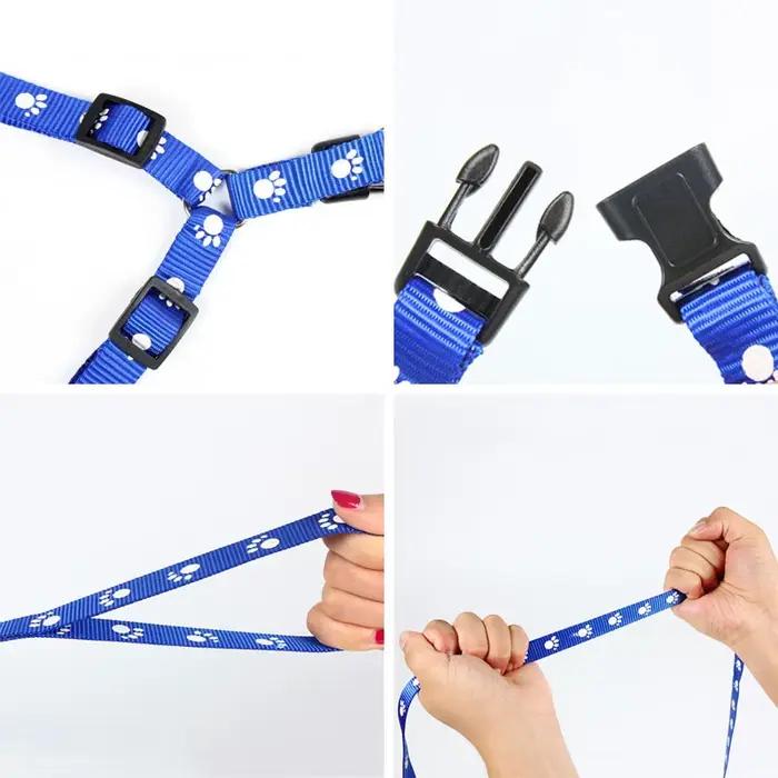 Ensemble harnais et laisse triangulaires pour chien, harnais léger, entraînement facile à marcher, laisse en plomb pour chien, voyage en plein air, petit et moyen chien