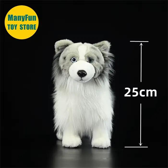 Sheltie chien Peluche haute fidélité rugueux Collie