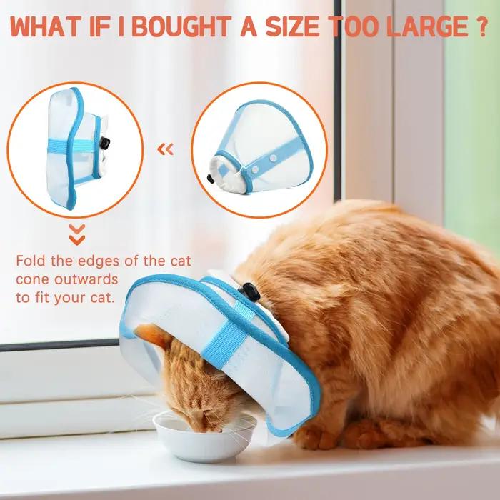 Un collier élisabéthain pour animaux de compagnie