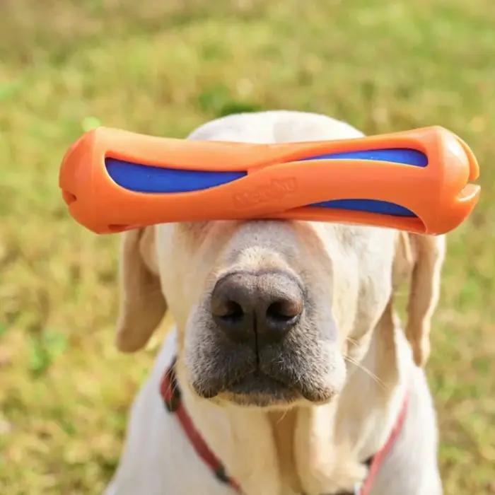 Jouet aquatique interactif Water-Lok Stick pour chien