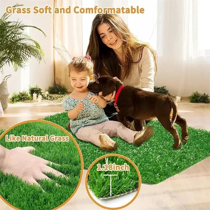 Tapis d'entraînement à la propreté lavable pour chien