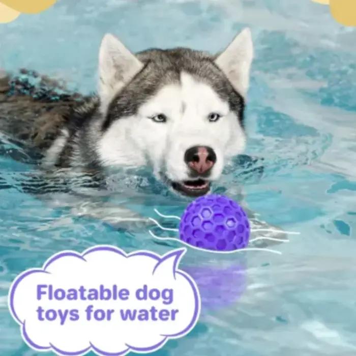 Jouet à mâcher en caoutchouc indestructible pour chiens de petite, moyenne et grande taille, accessoire de jeu et d'hygiène bucco-dentaire pour animaux de compagnie