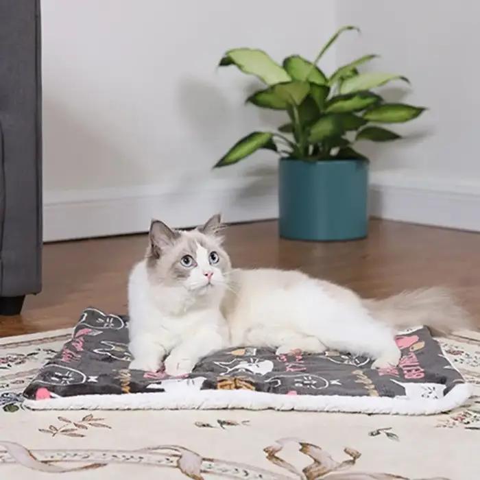 Matelas pour chien, tapis de couchage pour animaux de compagnie à motif de dessin animé